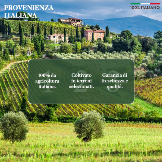 olio esta vergine