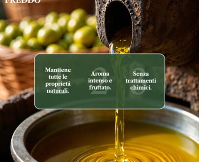 olio extravergine biologico, olio evo bio benvolio