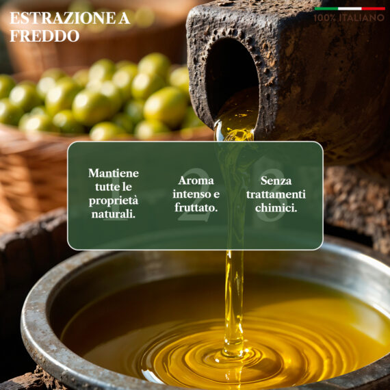 olio extravergine biologico, olio evo bio benvolio