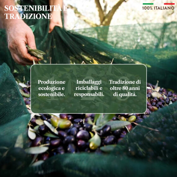 olio extravergine biologico, olio evo bio benvolio