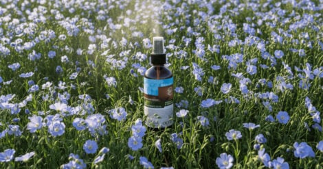 Olio Di Lino Spray